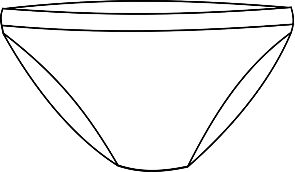 Panty, A womens underwear most vital